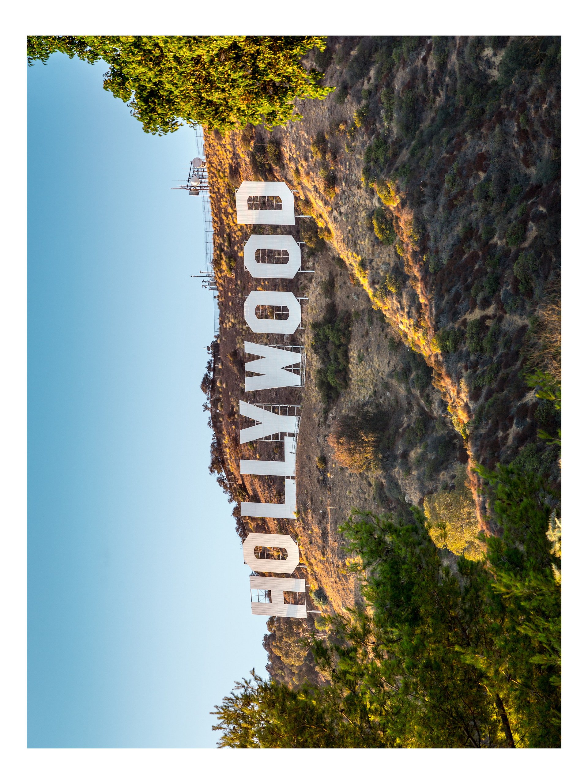 Cool Down [Color] | Adult Coloring Book: Los Angeles product image (4)
