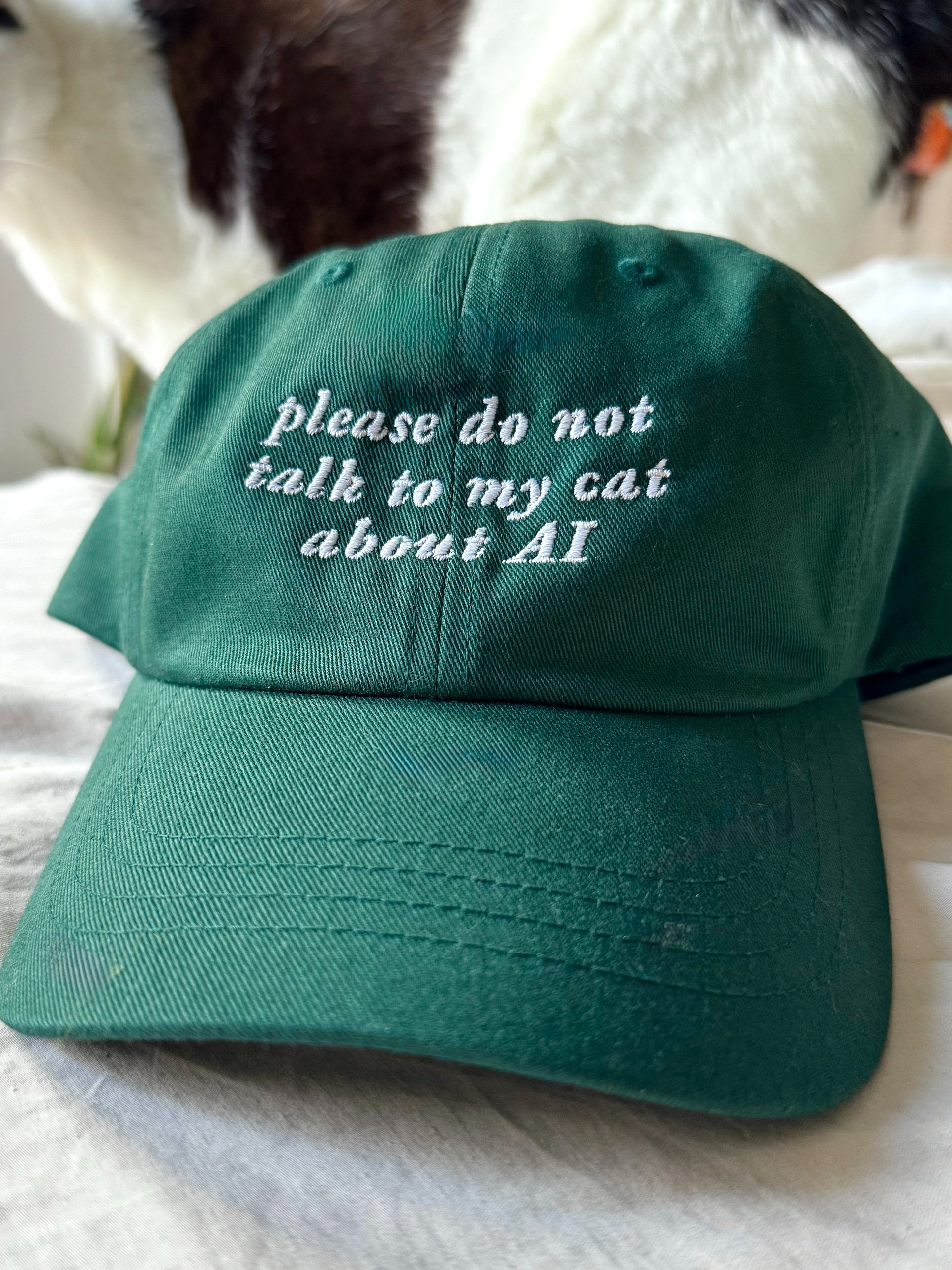 Please do not talk to my cat about AI hat product image (1)