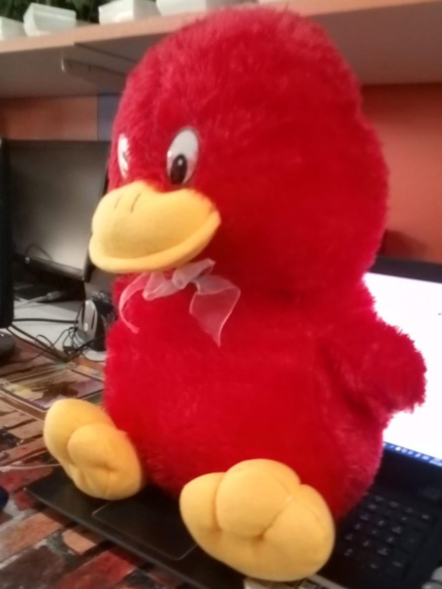 DUCK SOFT TOY product image (4)