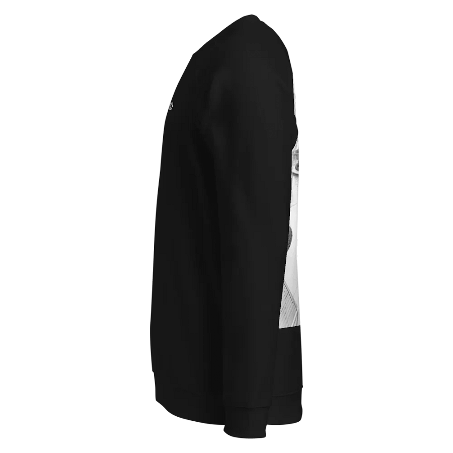Catch me Sweatshirt product image (4)