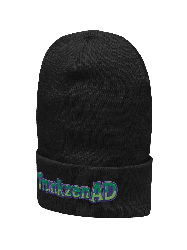 TZAD Big name Beanie product image (19)