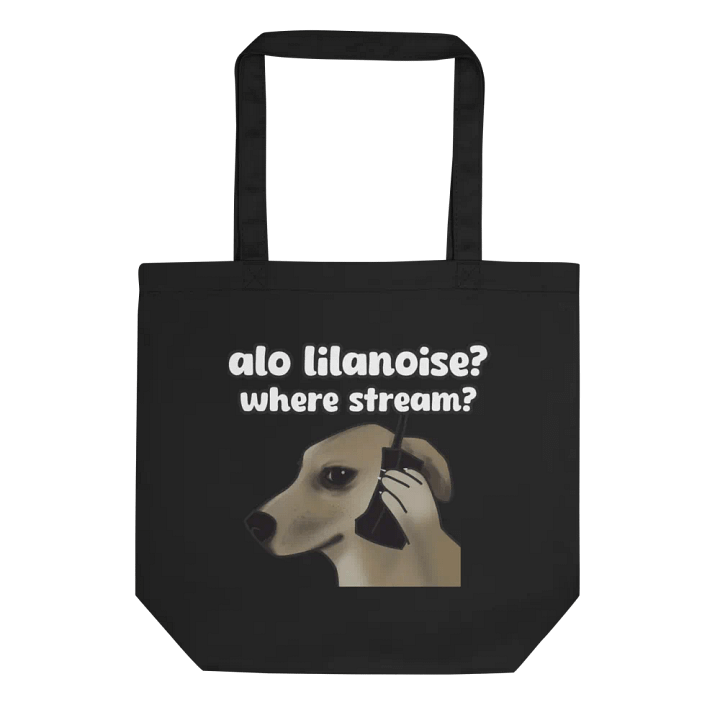 alo Lilanoise? Bag product image (1)