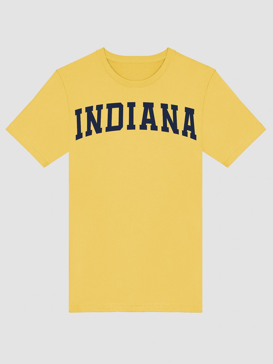 Indiana Vintage Stylish Supersoft Unisex T-Shirt product image (5)