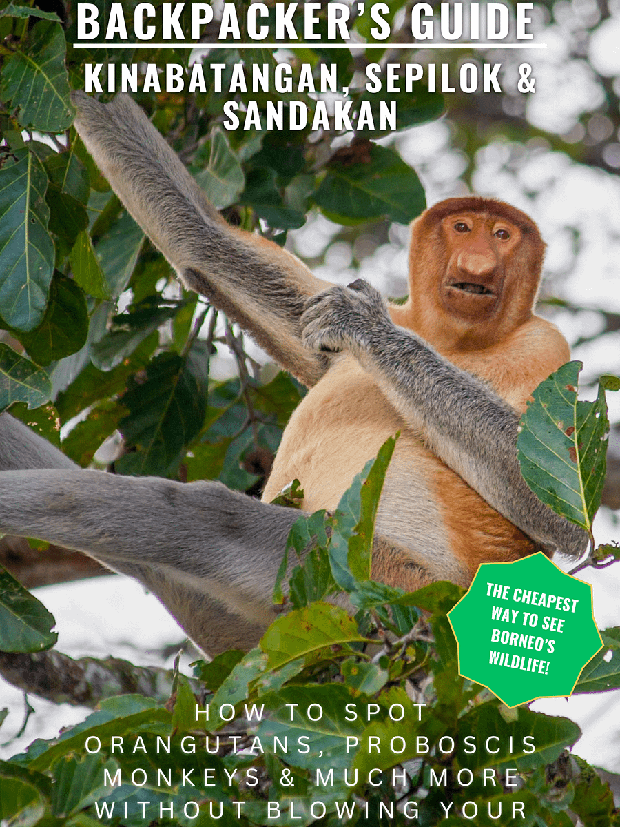 Backpacker’s Guide to Kinabatangan, Sepilok & Sandakan product image (1)