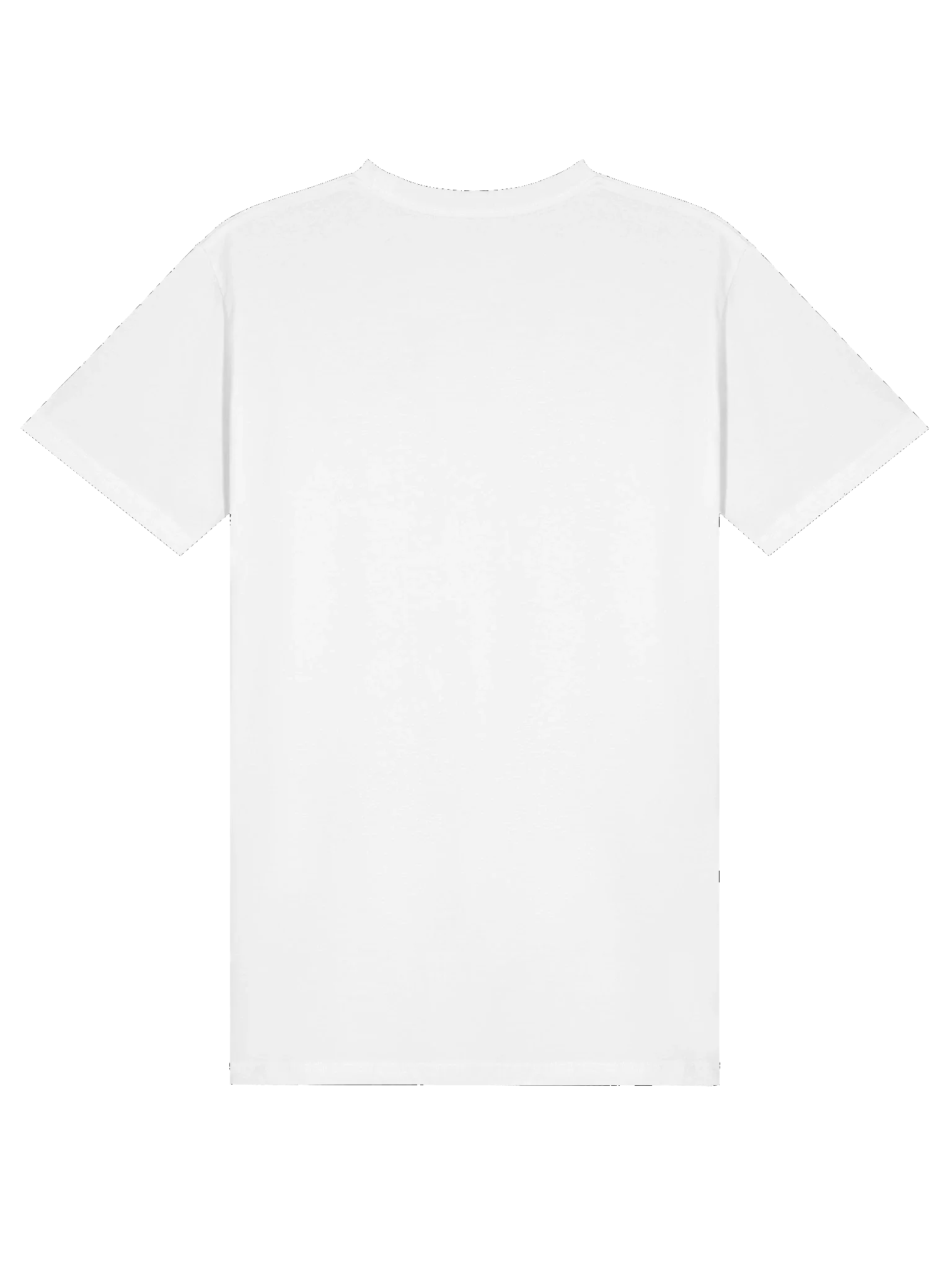 Champiöns T product image (4)