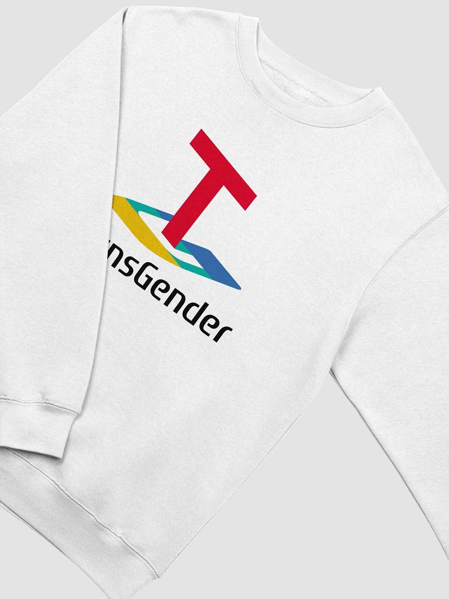 TransGender PS Pullover Sweater (Black Text) product image (3)
