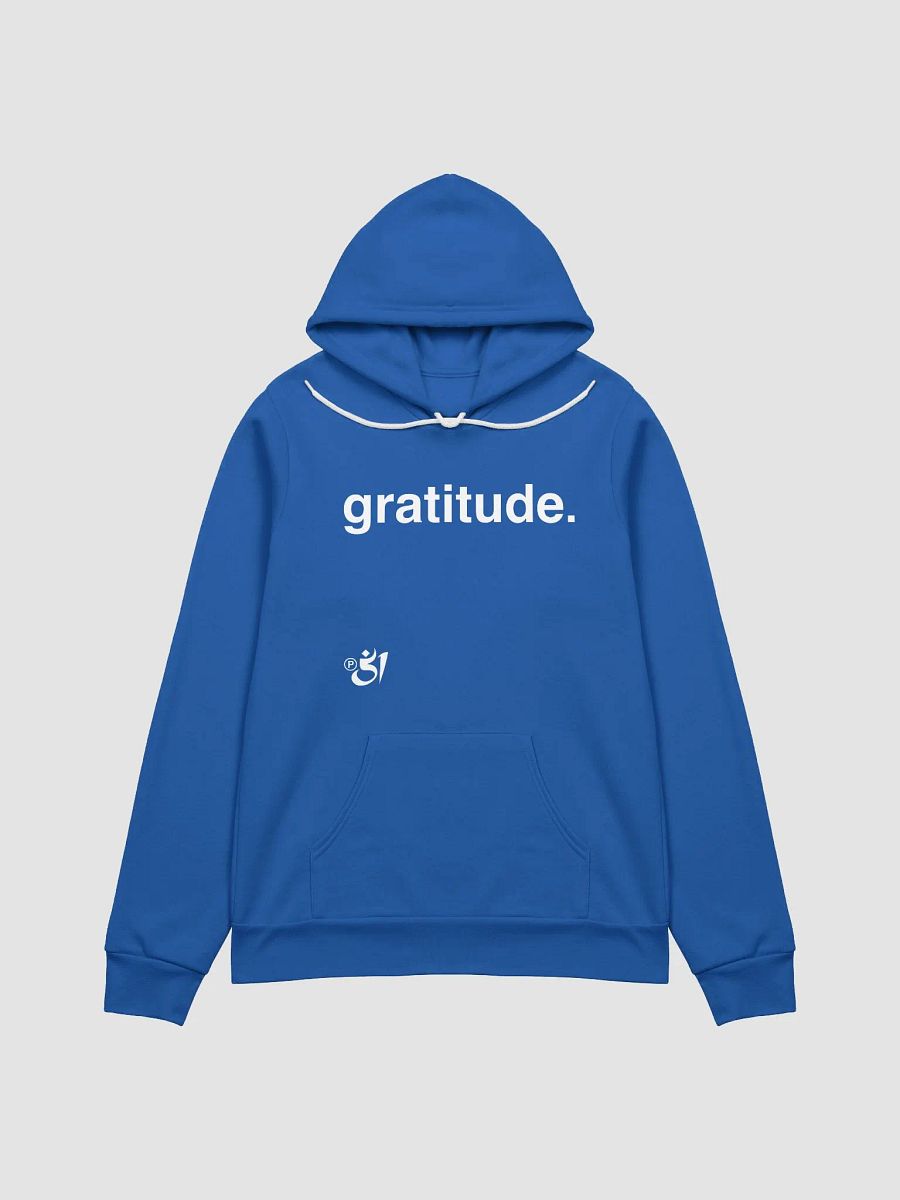 gratitude. hoodie product image (1)