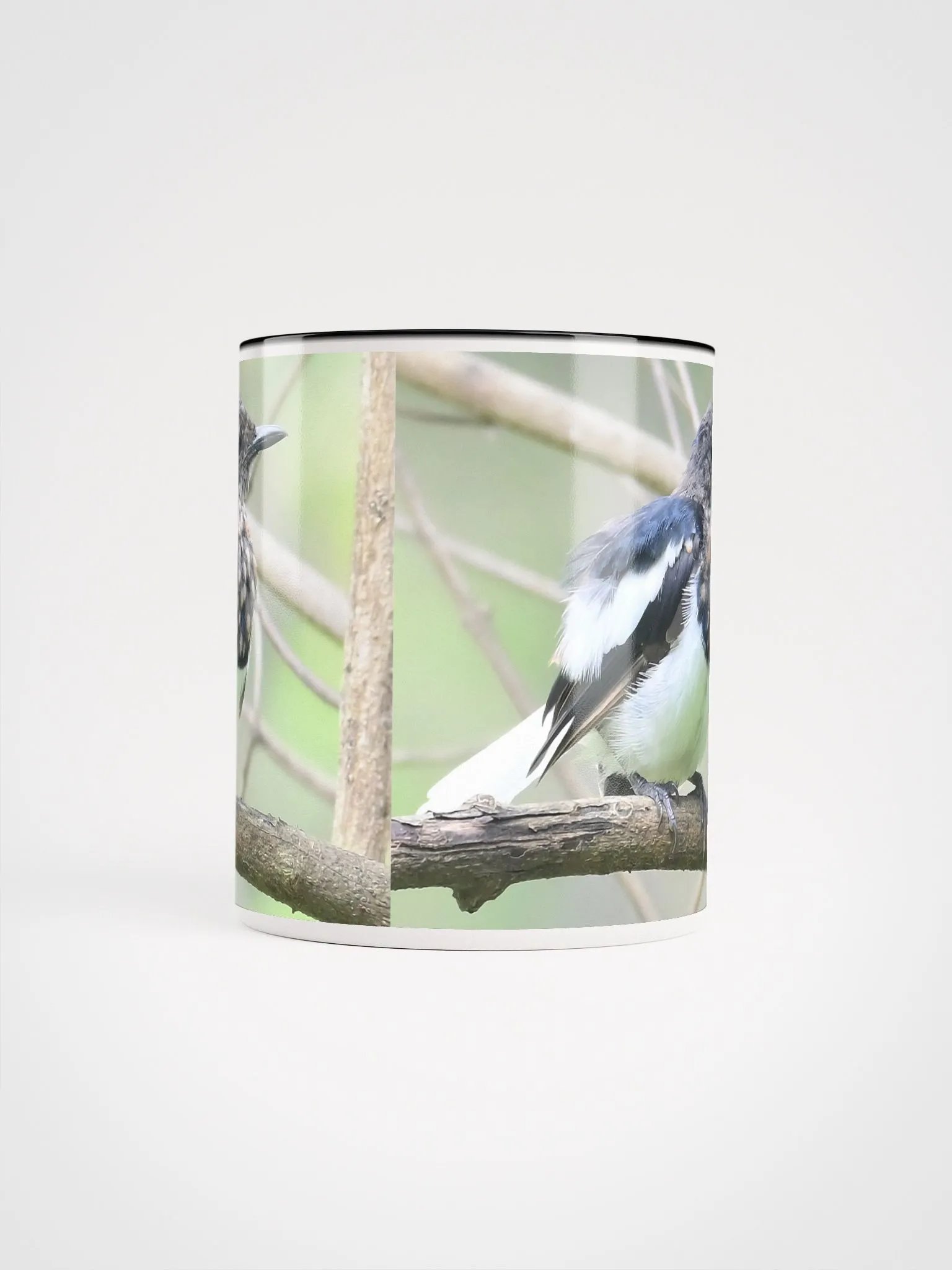 IUCAA Birds: Ceramic Mug with Color Inside product image (5)