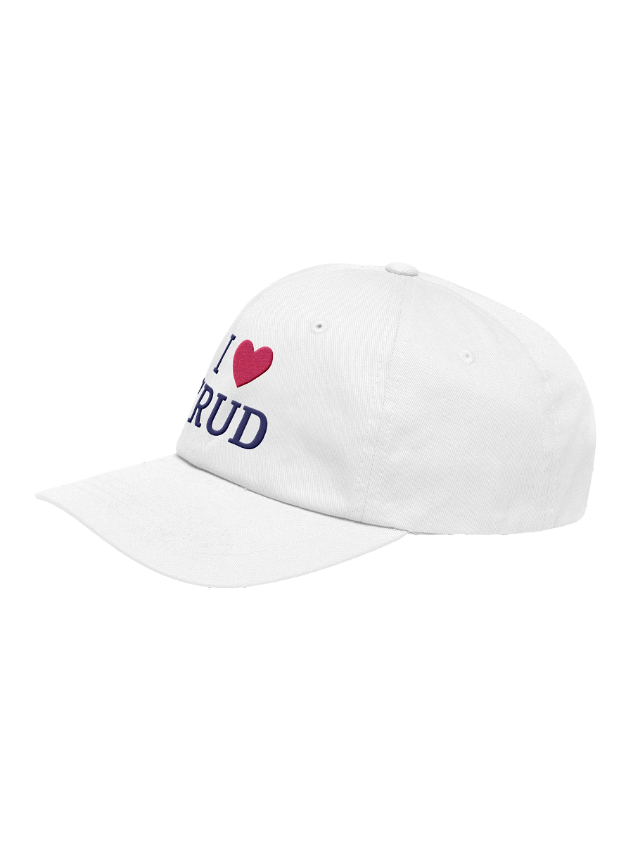 i'm a crud monkey hat - 100% cotton (by @dhh) product image (6)