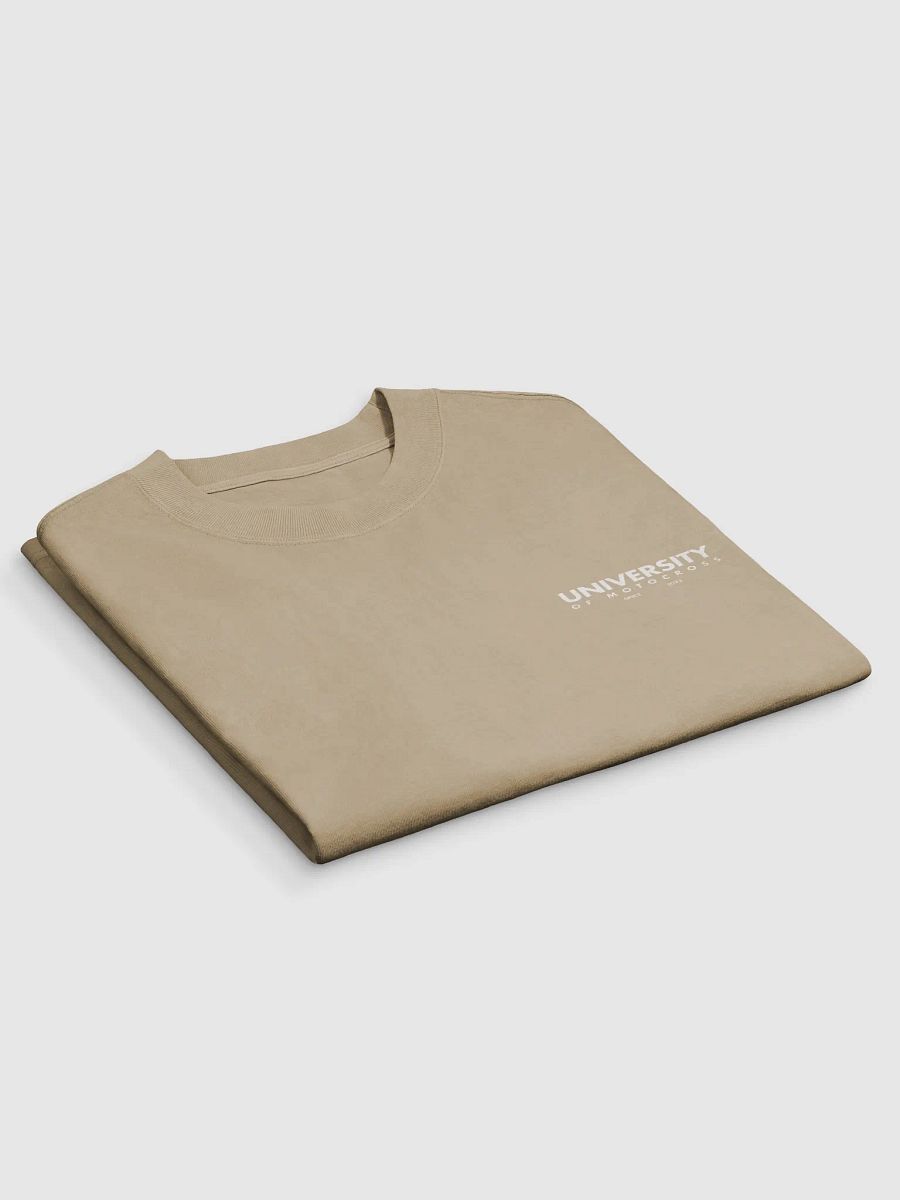 Vintage University Tee product image (3)