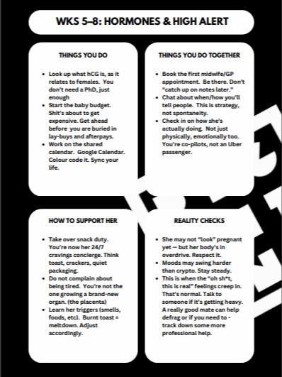 Dad-To-Be Survival Checklist product image (4)