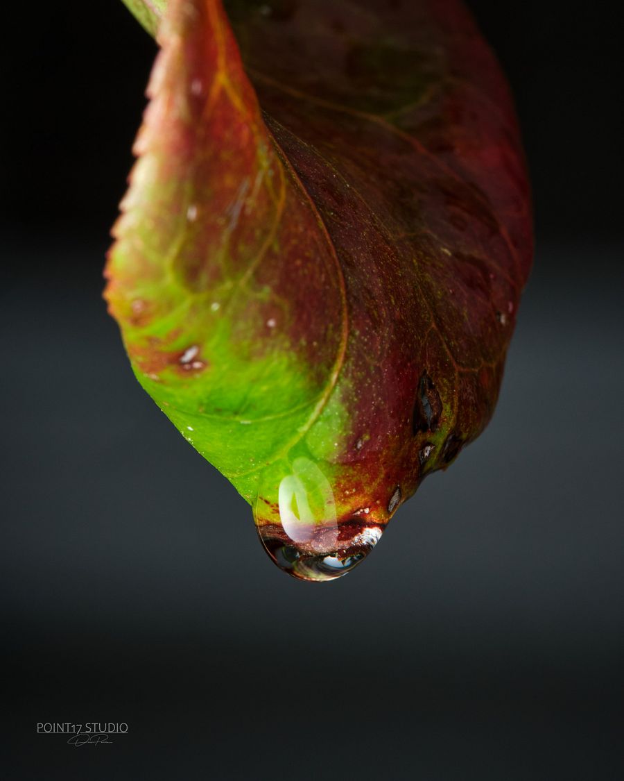 Crystal Drop - Framed Poster product image (5)