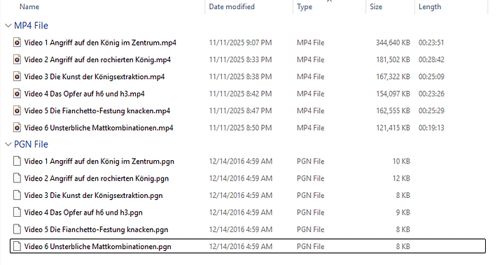 Schachmatt: Die Kunst des Königsangriffs product image (2)