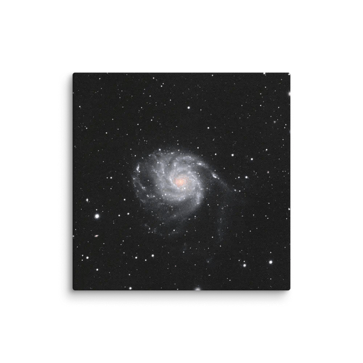 2025 - M101 by Eduardo Glasman product image (7)