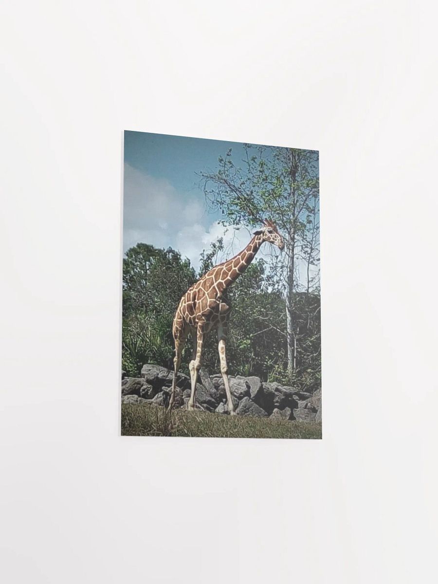 Giraffe Dark Edit product image (29)