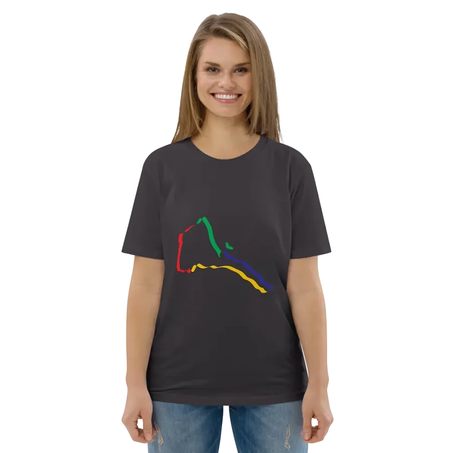 Chromatic Lines Organic Cotton T-Shirt product image (139)