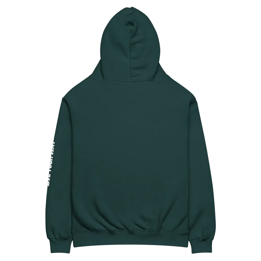 Sunset Serenity Oversized Hoodie product image (4)