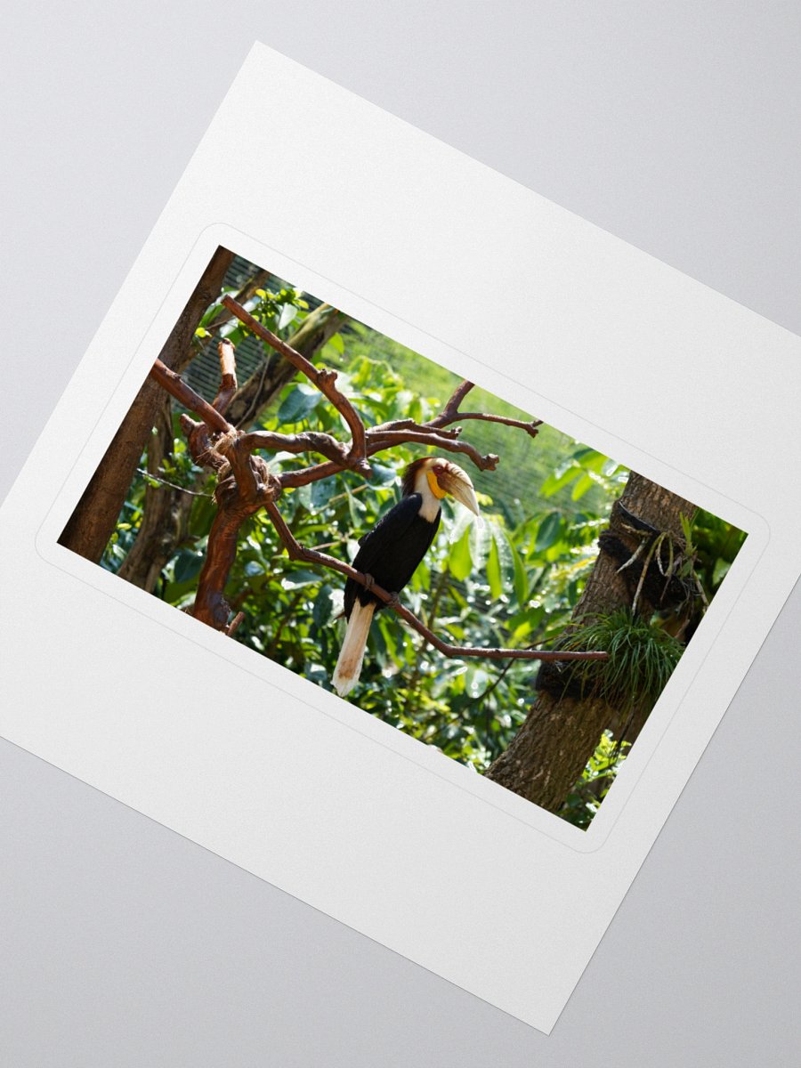 Vibrant Bird Kiss Cut Stickers product image (2)