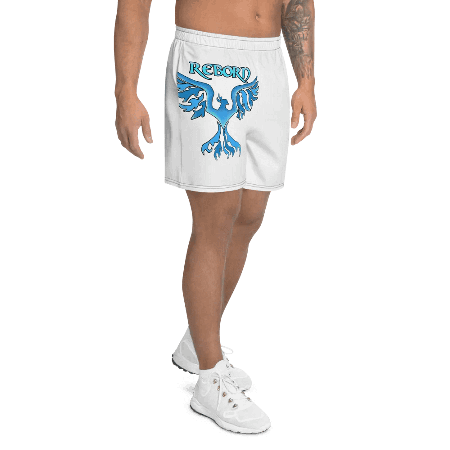 Ice Reborn phoenix product image (8)