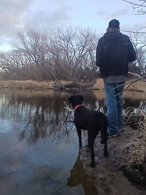 Rusty And DJ Out Fishing Together #RustyHagedorn #DJ #pet #animal #dog #blacklab #huntingdog #fishing #lake #nebraska #usa 