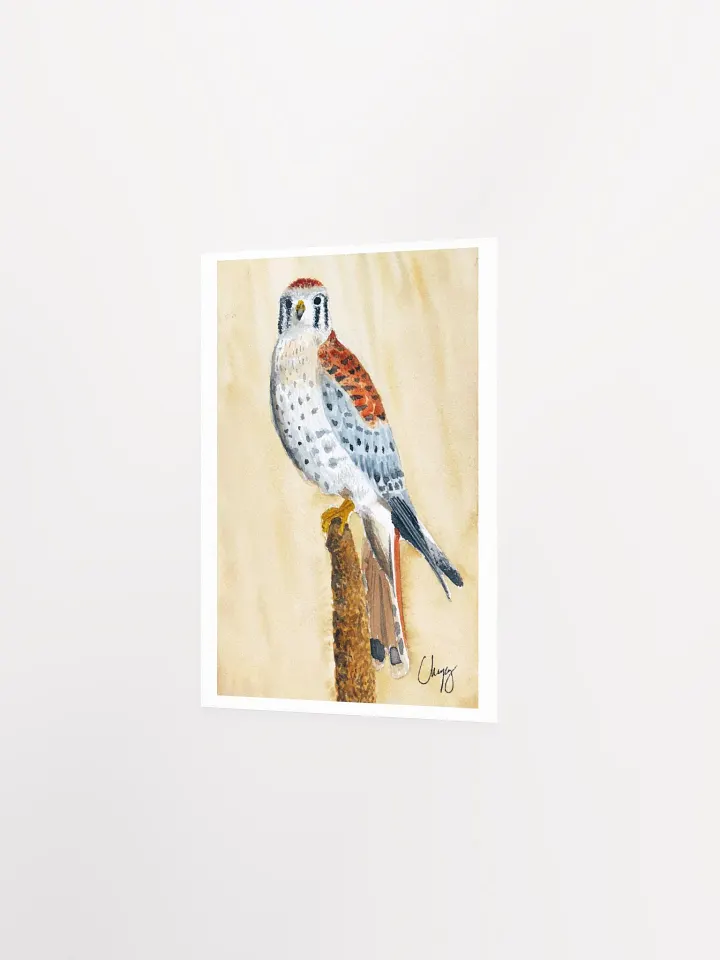 Kestrel Print product image (2)