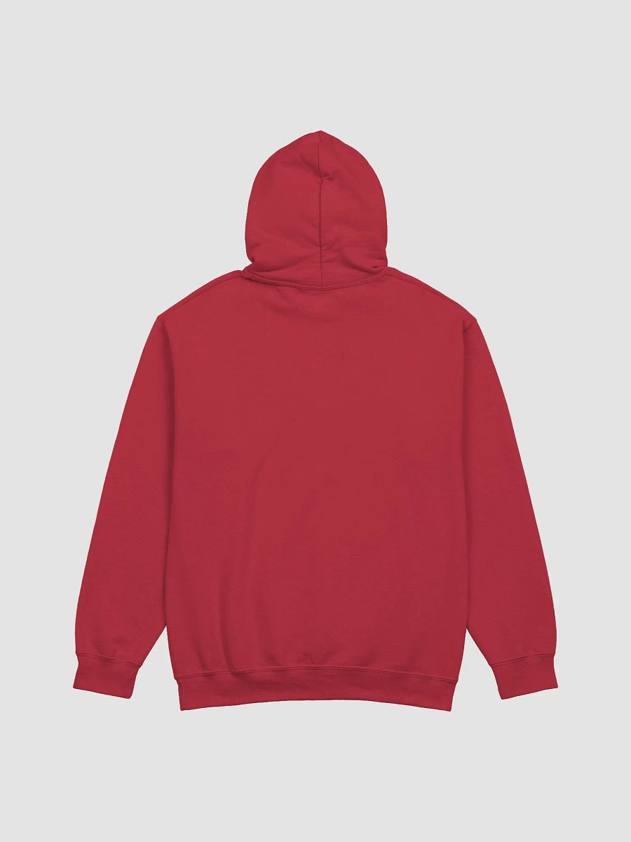 Picky Boys Podcast Hoodie (7 Colors) product image (2)