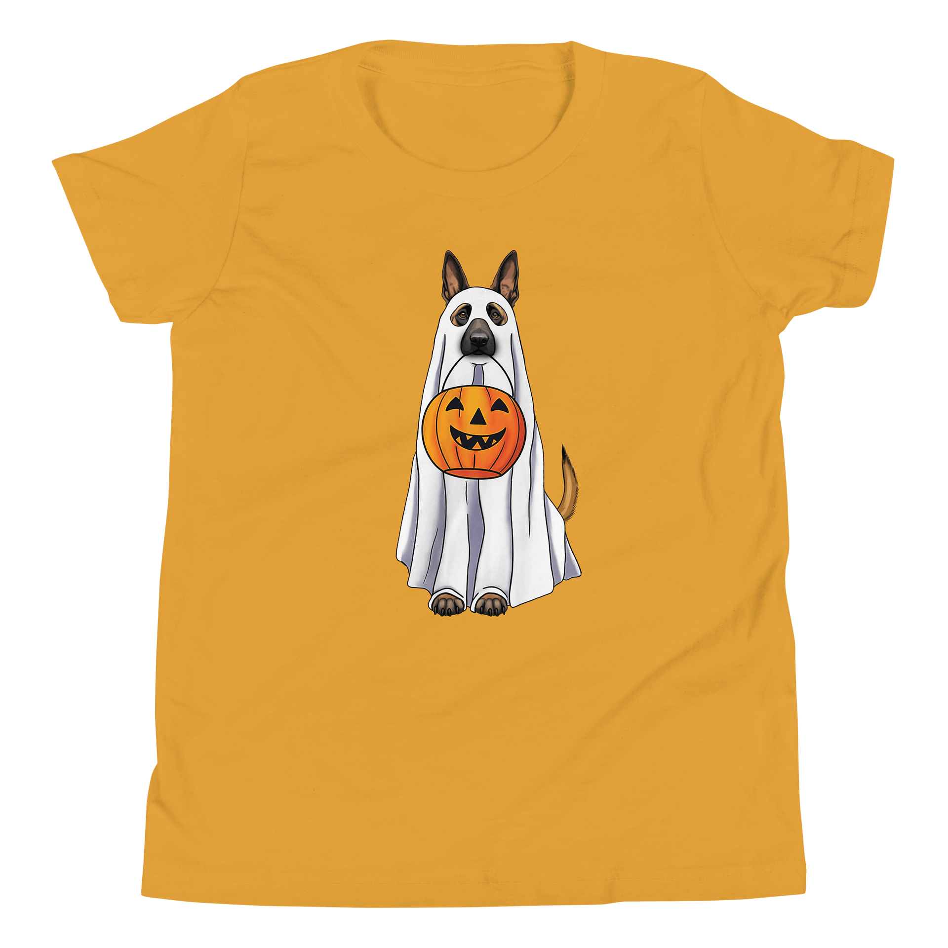 Halloween Belgian Malinois Youth T-Shirt product image (5)