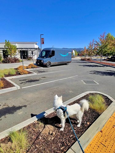 EDV spotting with the puppy this morning…