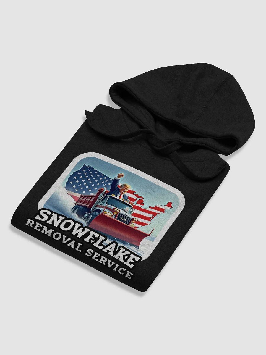 Hoodie: Snowflake Removal product image (32)