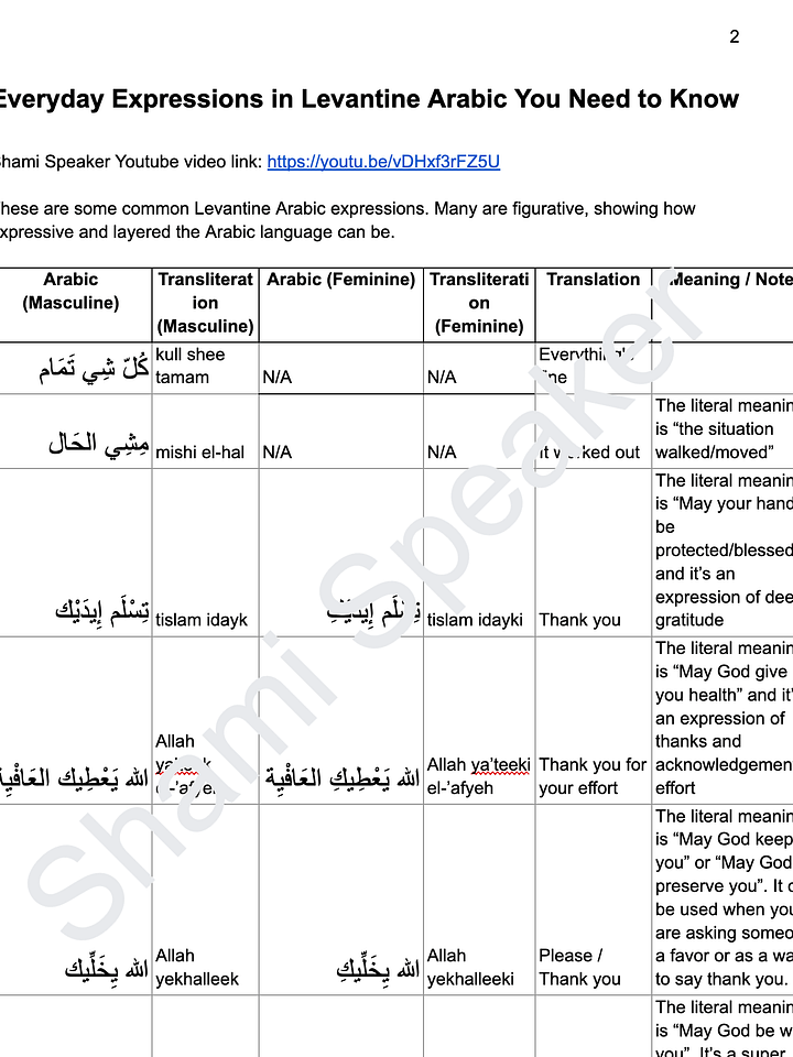 Everyday Expressions in Levantine Arabic You NEED to Know product image (2)