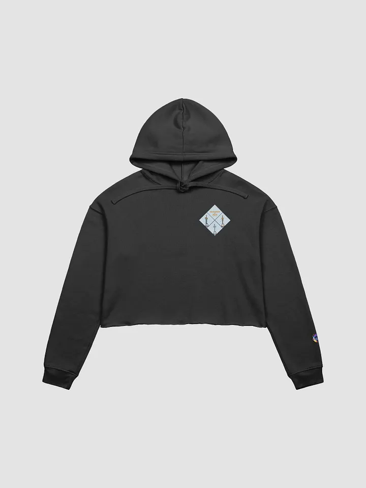 Sword in the Skull - Argent Variation - Crop Sweater product image (2)