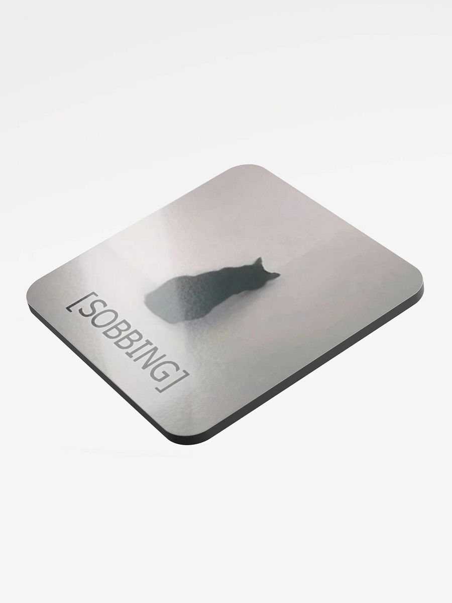Glossed Cork Coaster: Meme Cats product image (3)
