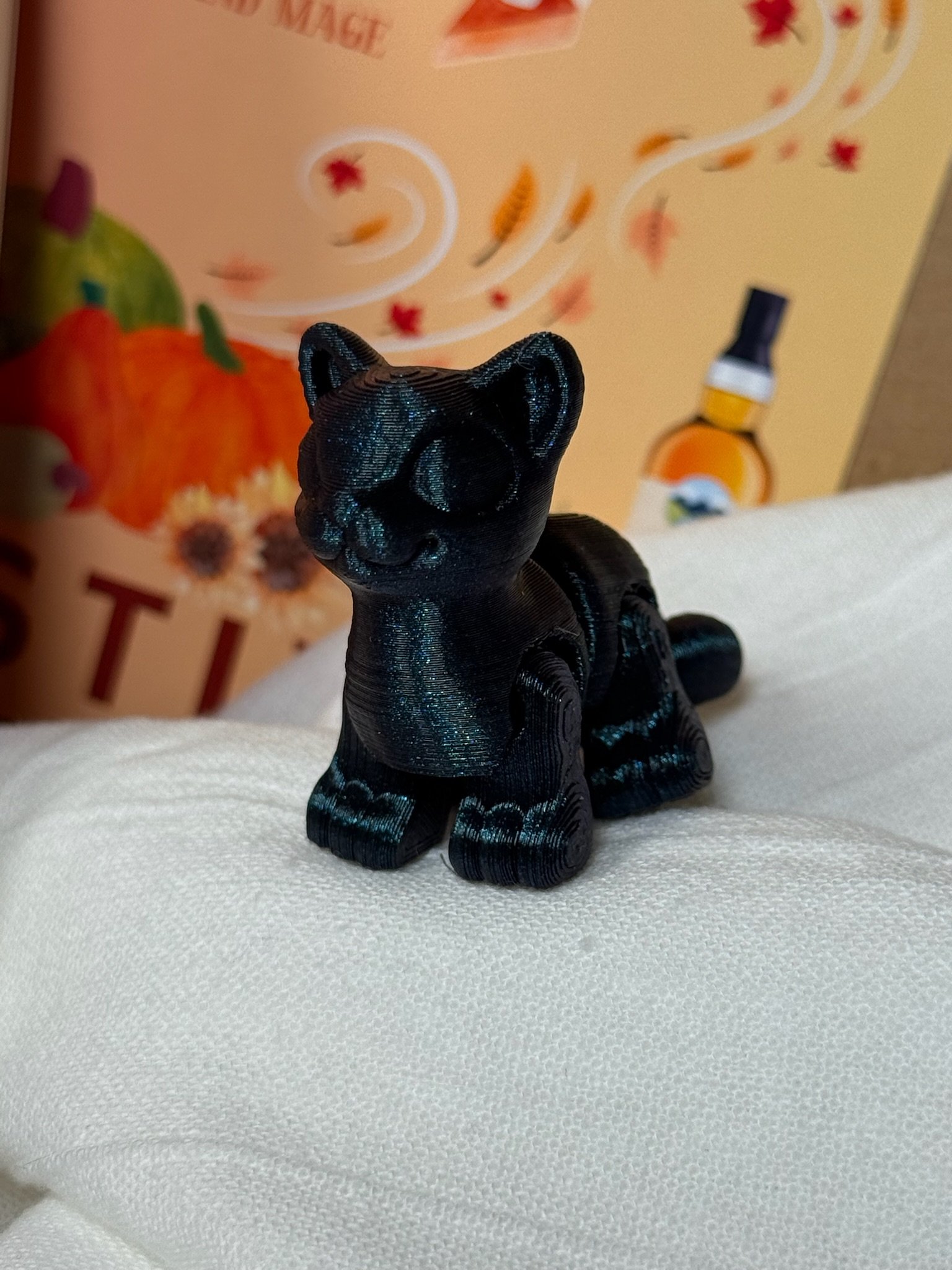 Social Sorcery Autographed Bookbox (Cat) product image (2)