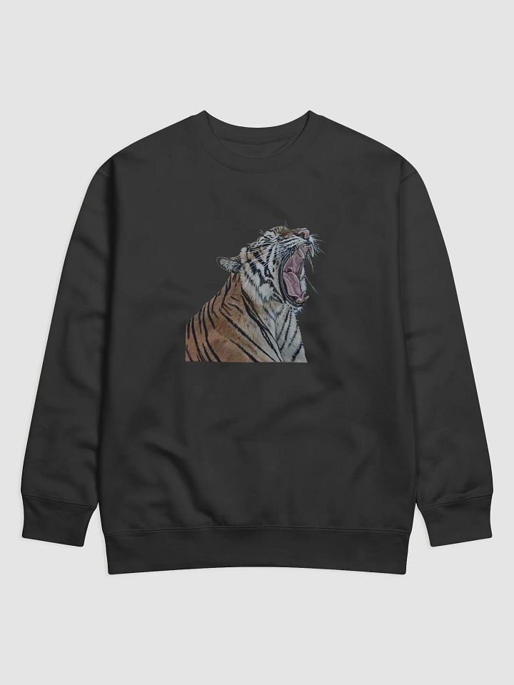 Sleepy Kitty Sweatshirt product image (1)
