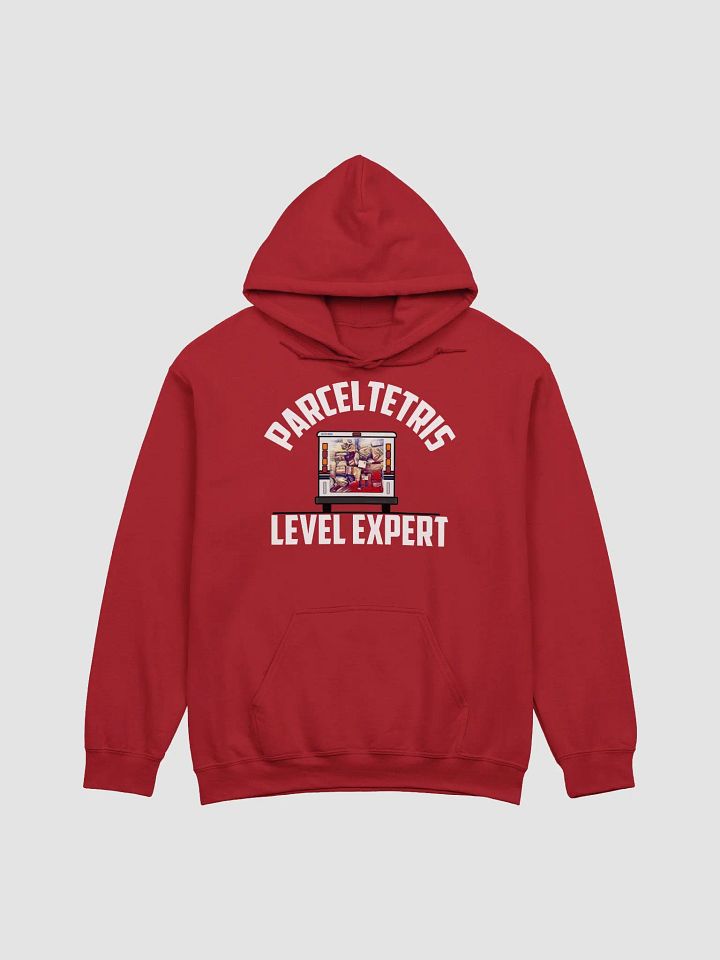 Parceltetris expert UNISEX hoodie product image (4)