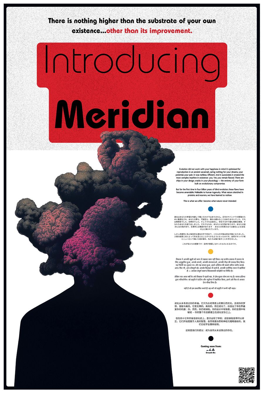 introducing meridian product image (13)