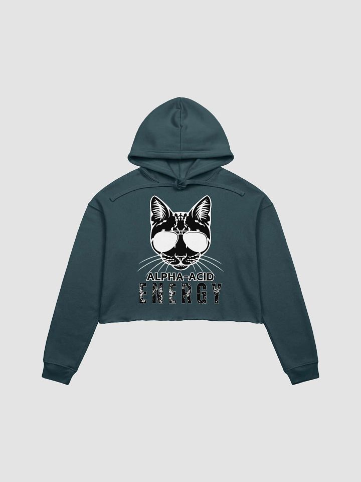 Alpha-Acid Energy Crop Hoodie product image (2)