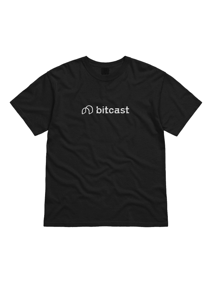 SN93 - Heavyweight T-Shirt (Embroidered) product image (12)