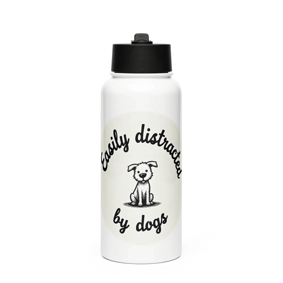 Go Fetch... Water, and Focus? product image (1)