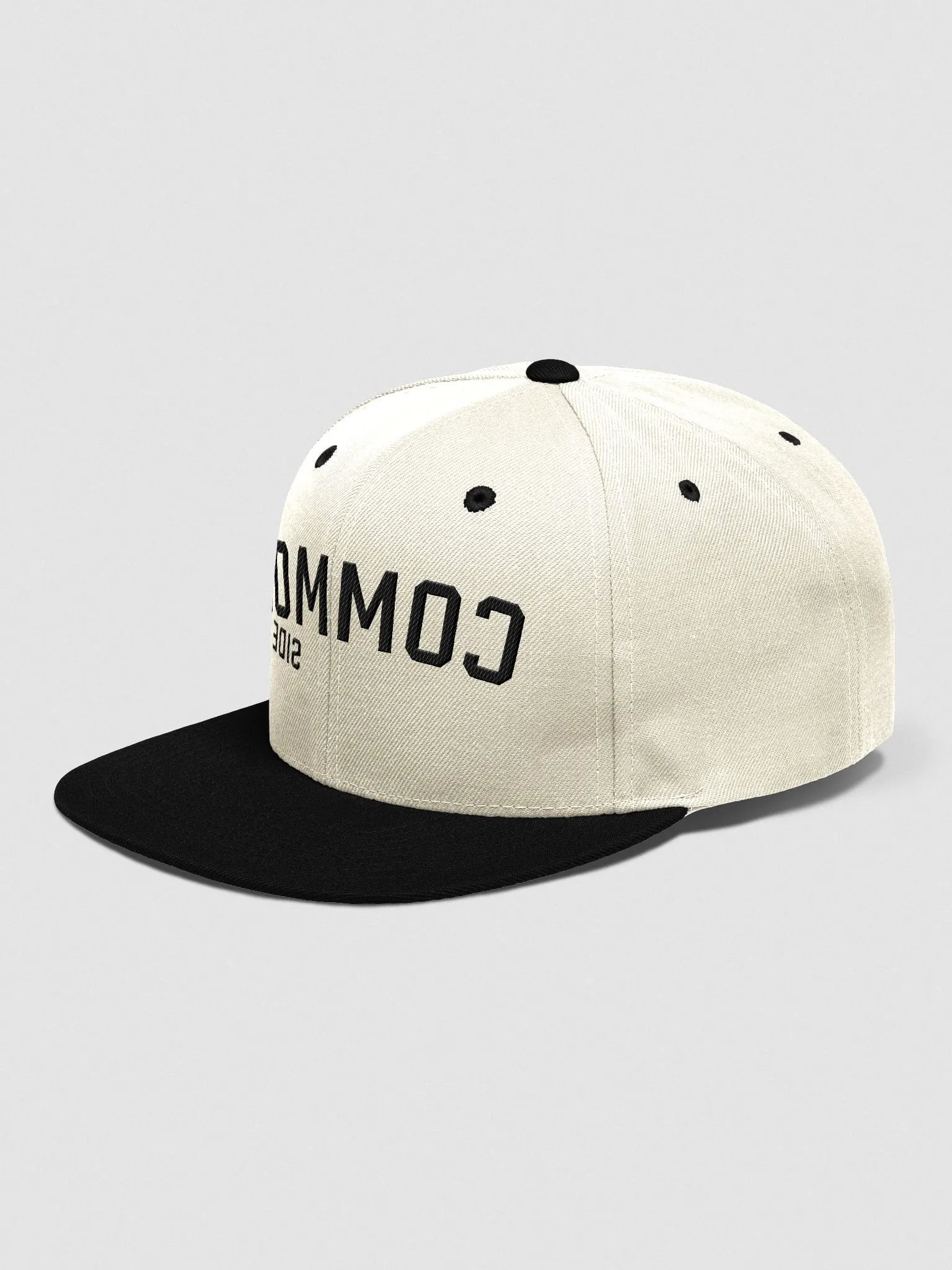 Pregame Snapback product image (3)