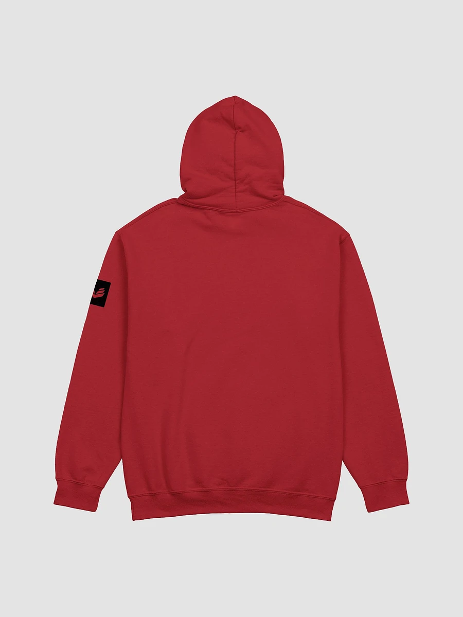 International Movement Hoodie - Red product image (2)