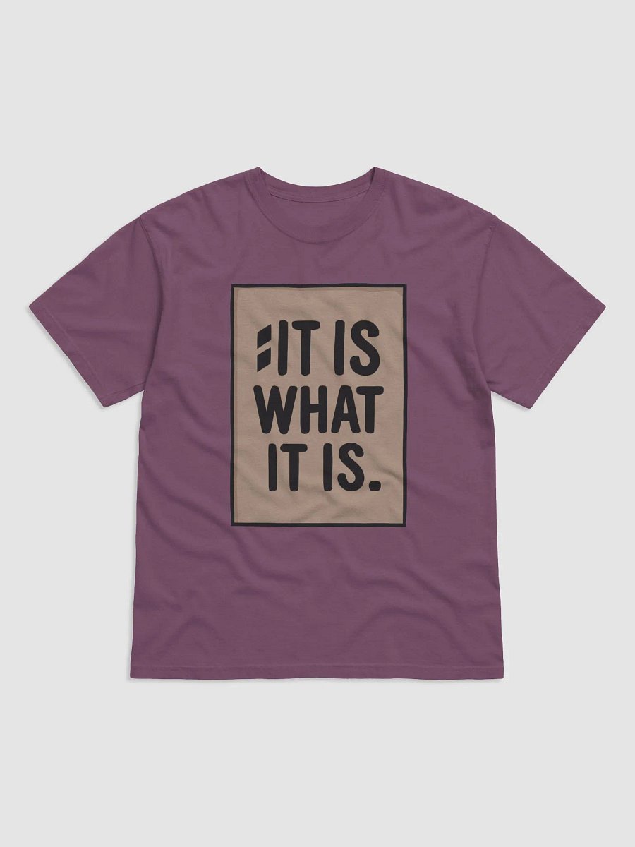 It Is What It Is - T shirt product image (1)