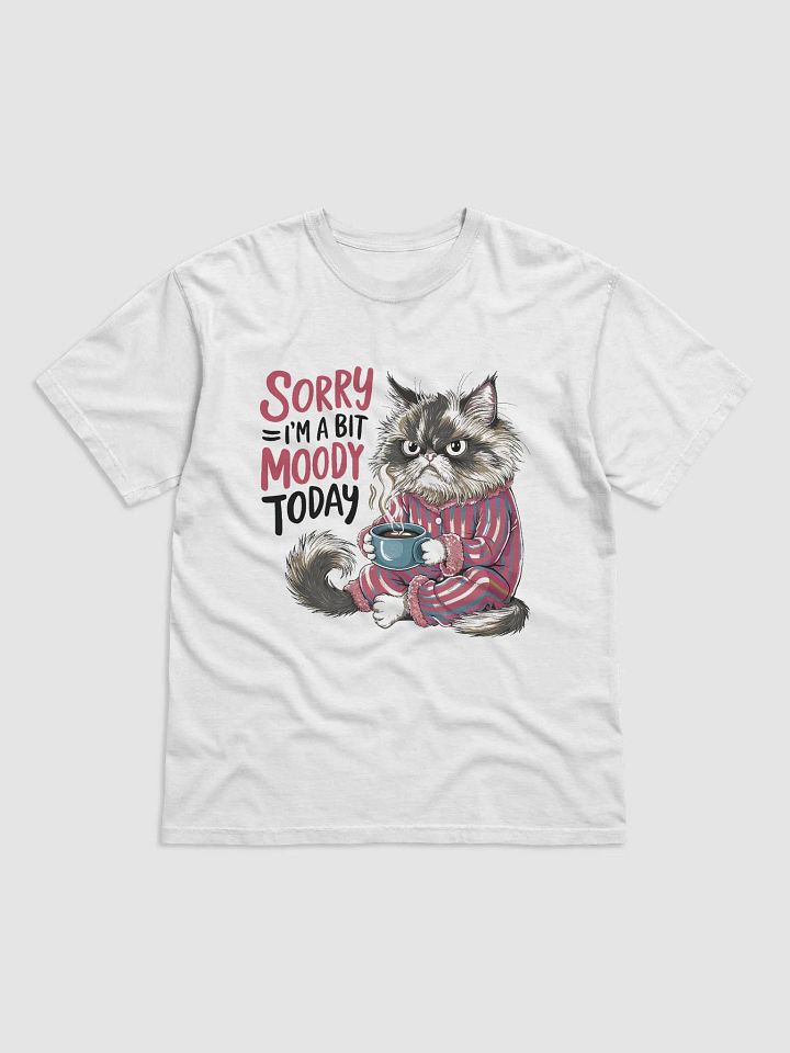 "Sorry I'm a Bit Moody Today" Tee - Black product image (1)