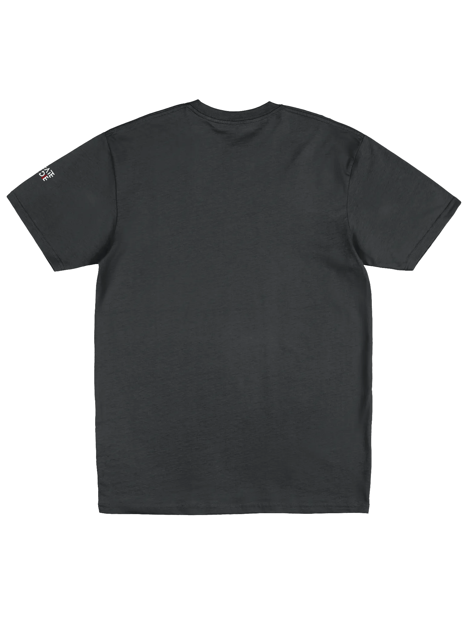 Divine Scribe - Premium Tee product image (3)