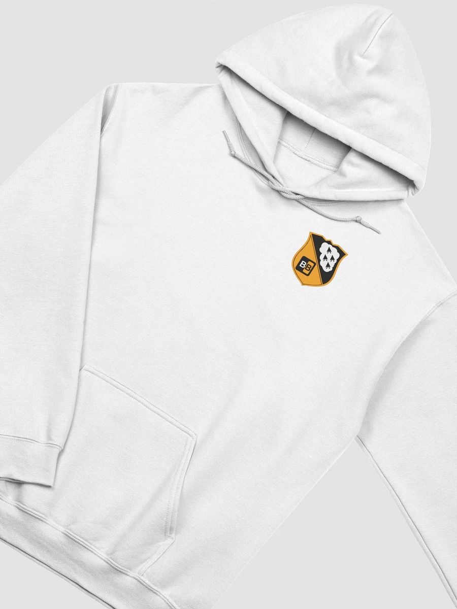 TBB Other Hoodie product image (4)