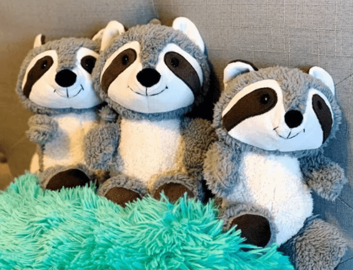 Trash Panda Plushie product image (1)