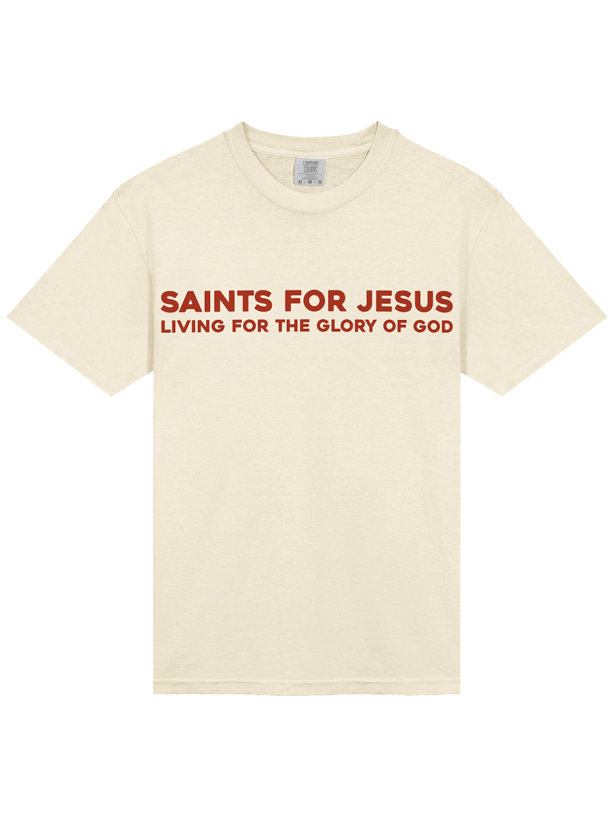 Fruit of the Spirit T-Shirt product image (23)
