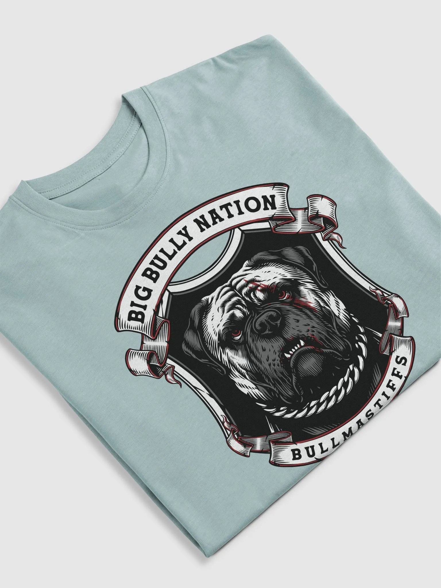 BBN Alter Ego Men's Tee product image (33)