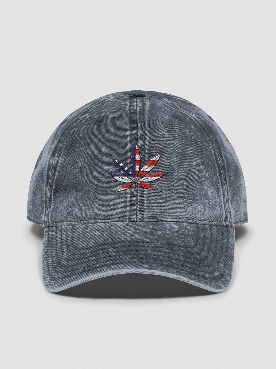 Otto Vintage Wash Dad Hat-Hemp product image (1)