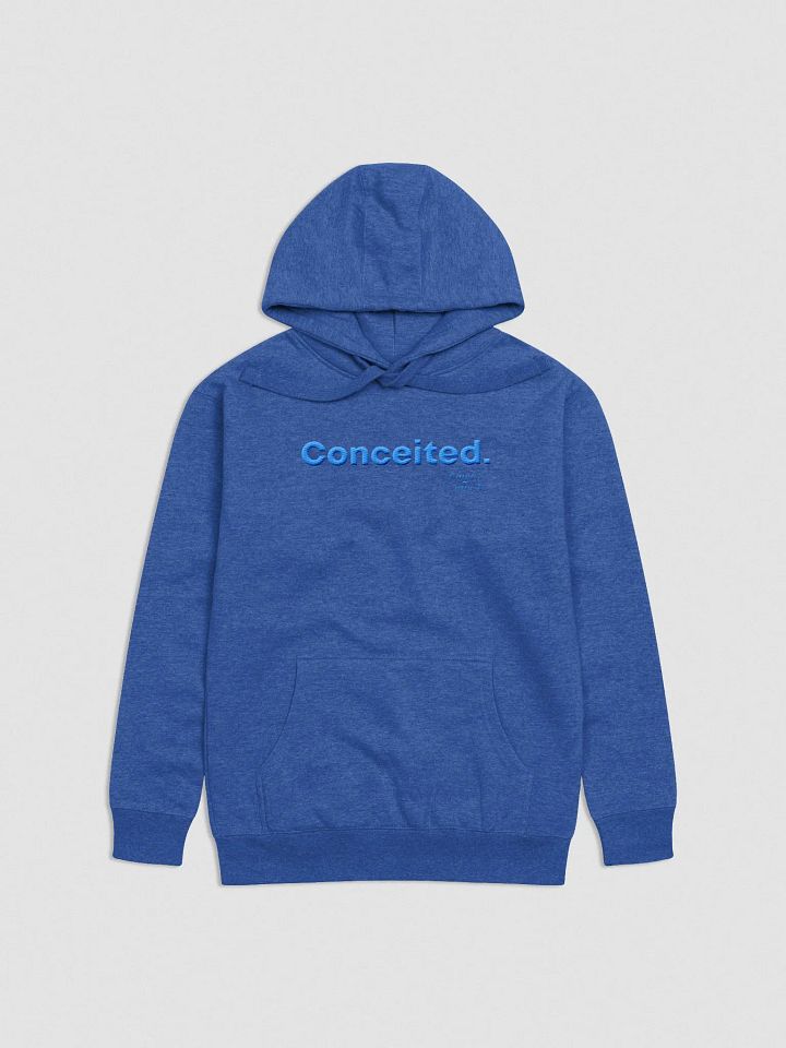 Concieted Embroidered Hoodie F&E1 product image (2)
